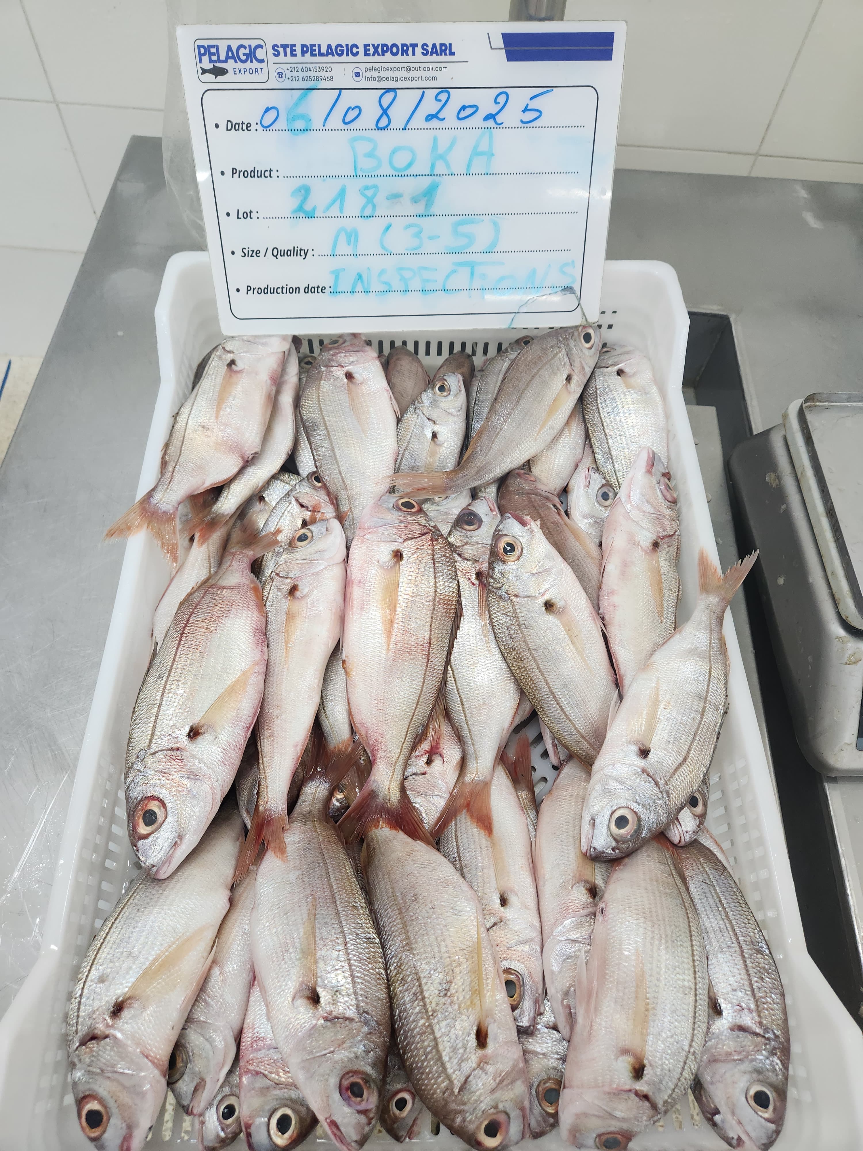 BOGA