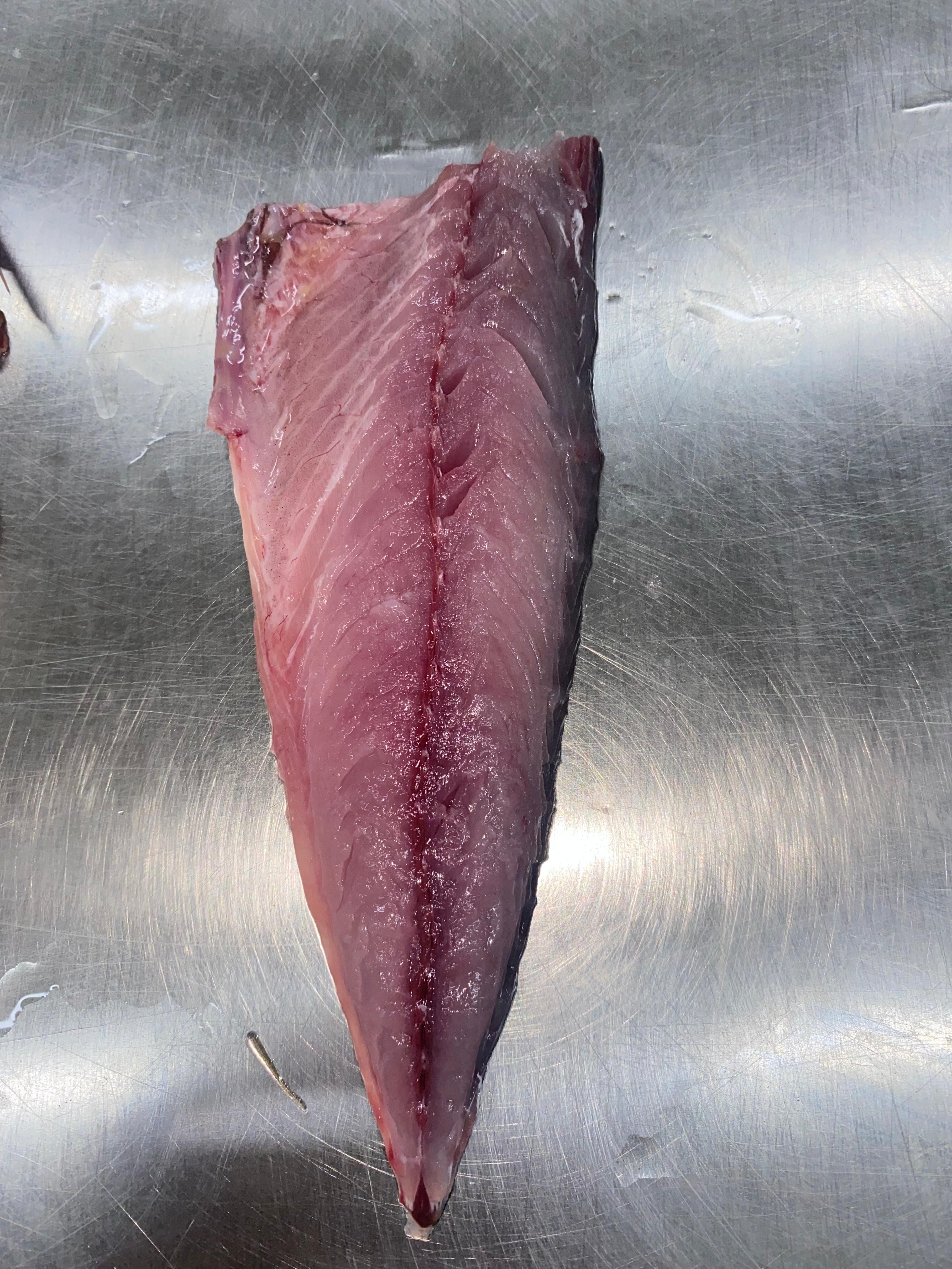 FROZEN MACKEREL 1