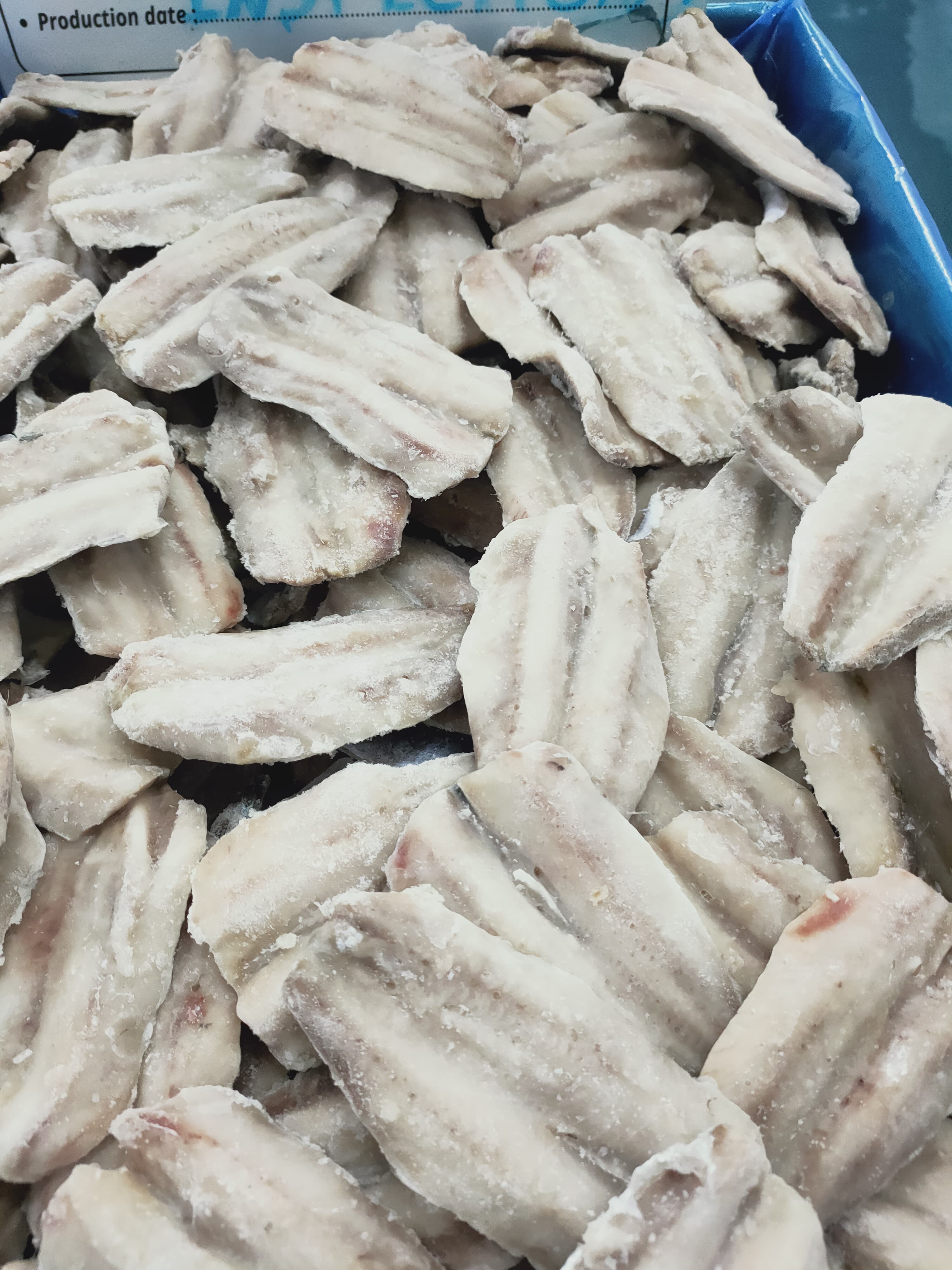 SARDINE 2